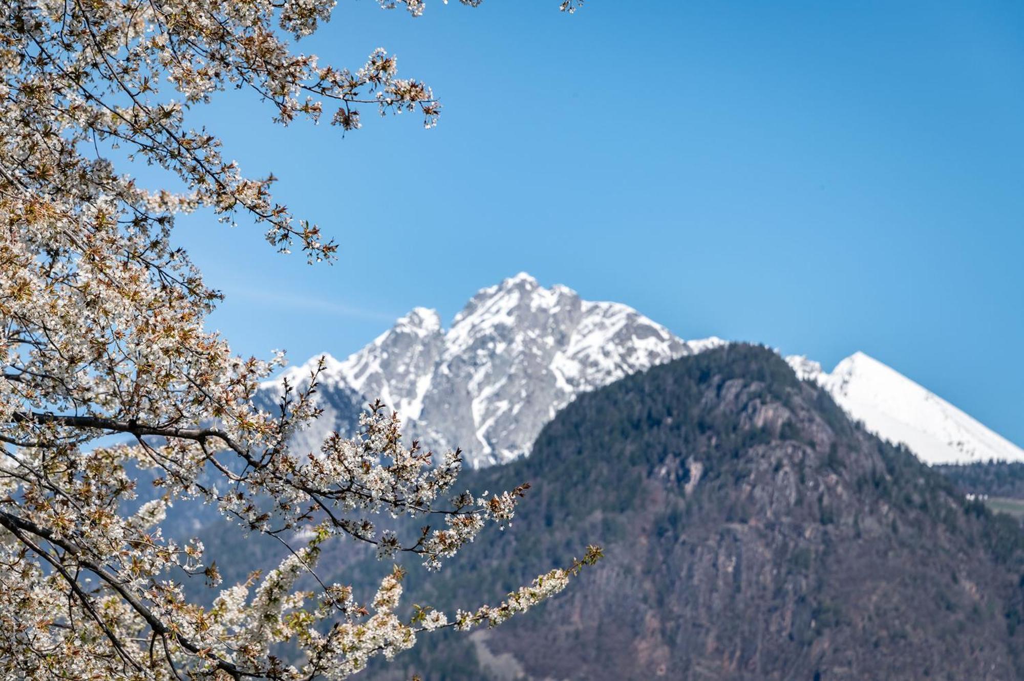 Georgenhöhe Lana Exteriör bild